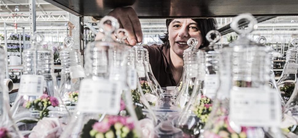 Lean Practitioner : un avenir florissant pour le Groupe Floré