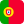PT Flag